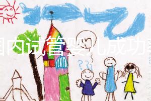 “國內試管嬰兒成功率不比國外差” 對話輔助生殖專家:胚胎培養是概率提升關鍵