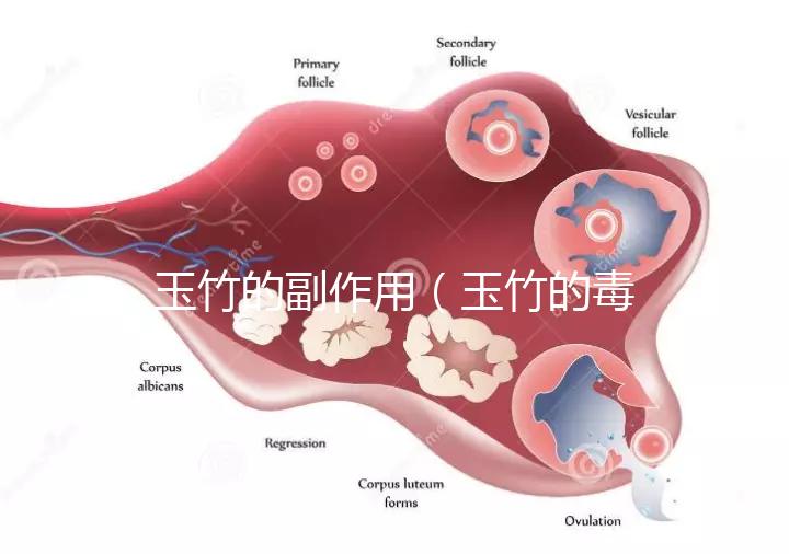 玉竹的副作用（玉竹的毒性有多強(qiáng)？）