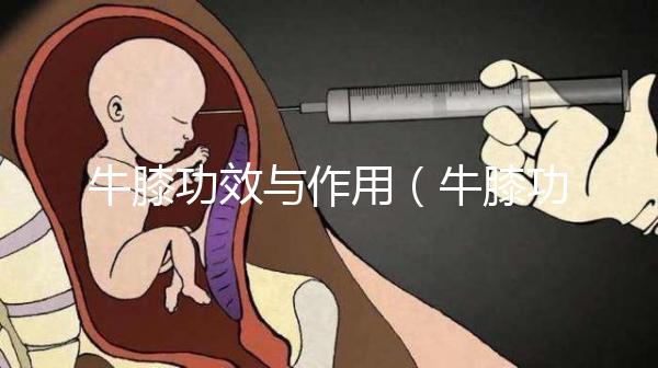 牛膝功效與作用（牛膝功效與作用與主治）