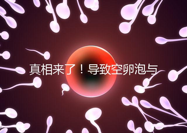 真相來(lái)了!導(dǎo)致空卵泡與多囊卵巢有關(guān),區(qū)別在于以下四點(diǎn),多研究