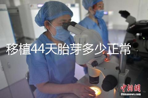 移植44天胎芽多少正常？胎芽長度和孕周對照表一覽