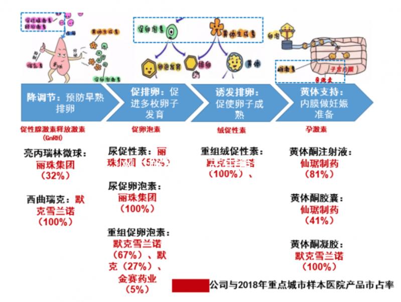 網上解密內蒙古生育登記要不要辦理，想造包頭怎么辦？