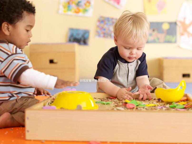 卵泡發(fā)育不良怎么辦,3種方法可生產(chǎn)優(yōu)質卵子