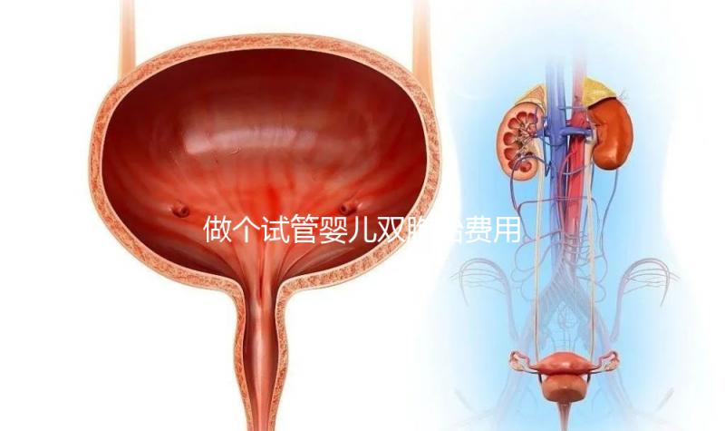 做個(gè)試管嬰兒雙胞胎費(fèi)用大概要多少錢?