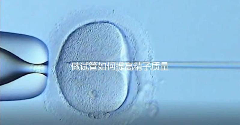 做試管如何提高精子質(zhì)量?五星推薦4個(gè)簡單小運(yùn)動(dòng)