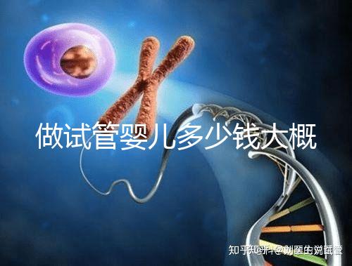 做試管嬰兒多少錢大概