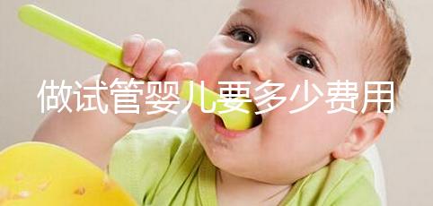 做試管嬰兒要多少費用
