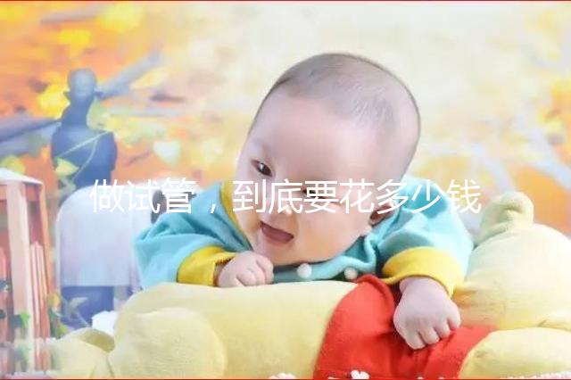 做試管，到底要花多少錢？?。?！