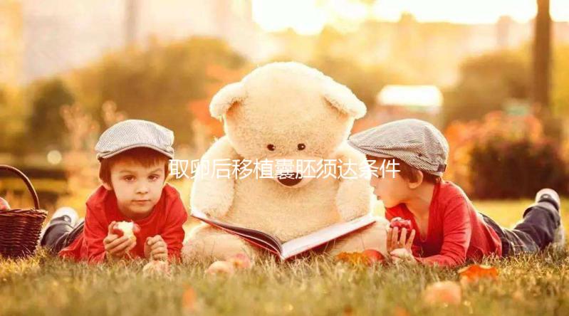 取卵后移植囊胚須達條件!至少要達到這3個標(biāo)準(zhǔn)