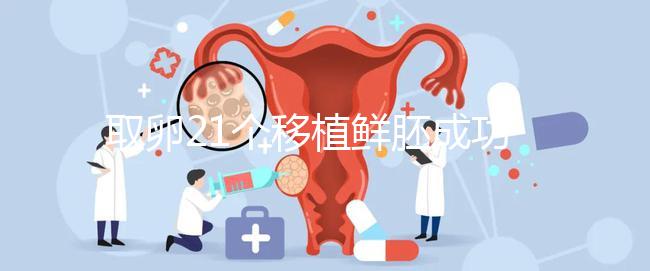 取卵21個移植鮮胚成功率真不低，前提：等卵巢恢復后再手術