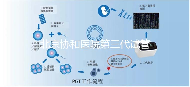 北京協(xié)和醫(yī)院第三代試管成功率解析:年齡與成功率關(guān)系詳解(2025數(shù)據(jù))