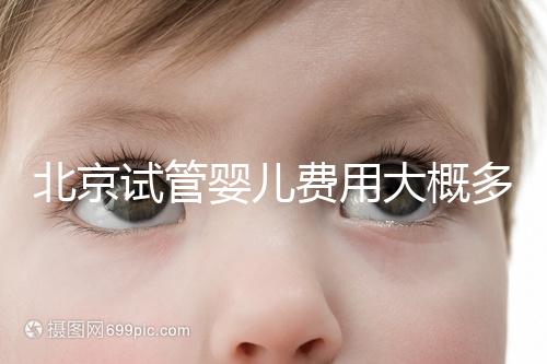 北京試管嬰兒費用大概多少