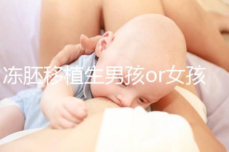 凍胚移植生男孩or女孩機(jī)率真不同,哪個(gè)大請(qǐng)看數(shù)據(jù)說話