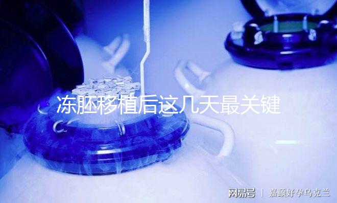 凍胚移植后這幾天最關鍵！一文揭秘重要原因