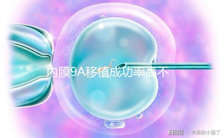 內膜9A移植成功率高不高答案在這，誰說和9B相比更易著床