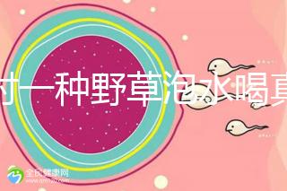 農(nóng)村一種野草泡水喝真能治便秘！配合這九種中草藥效果更好