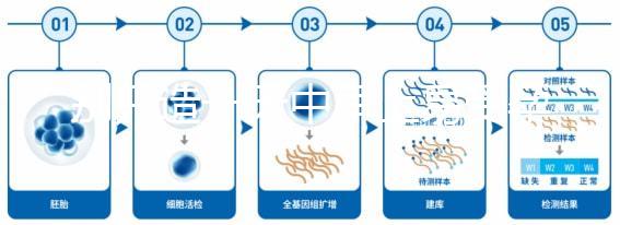 別只造一天中早上易受孕生男孩,60秒教你算出最佳同房時(shí)間