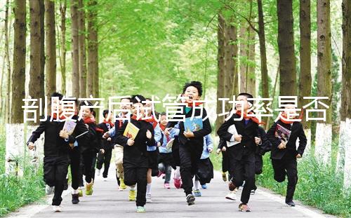 剖腹產(chǎn)后試管成功率是否很低?適當(dāng)?shù)恼{(diào)理影響真的很小