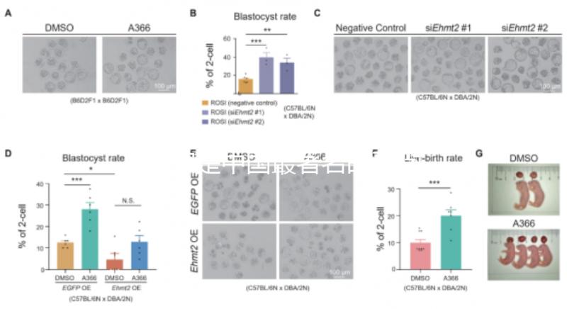 哪家是中國最著名的不孕不育醫(yī)院,包括正規(guī)機構的排名