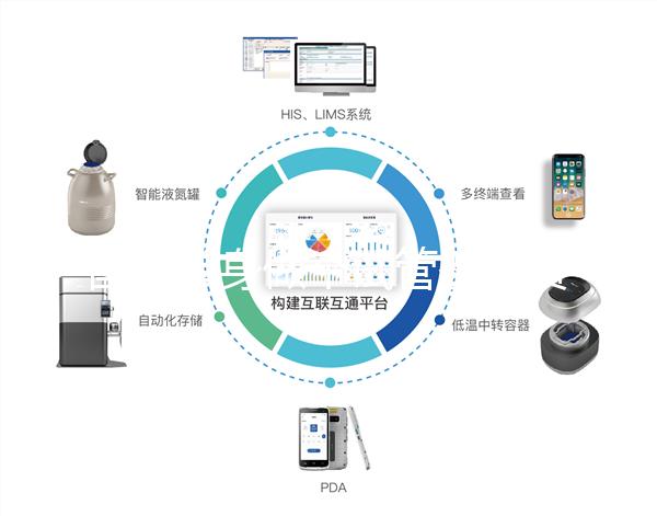 國內(nèi)單身做個試管嬰兒費用大概要多少?