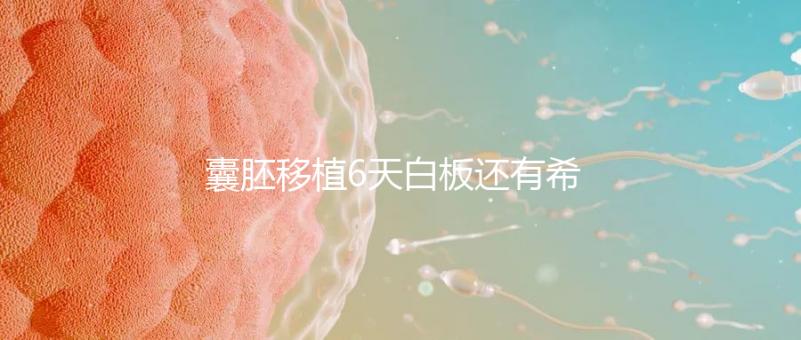 囊胚移植6天白板還有希望嗎？別沮喪該來的總是會來的