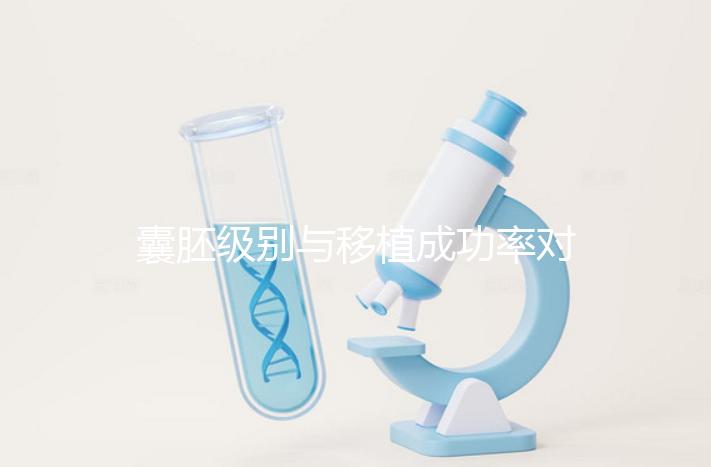 囊胚級別與移植成功率對照表：級別越高成功率越高嗎？