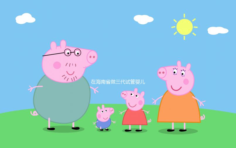 在海南省做三代試管嬰兒一般要花費(fèi)多少，全面介紹費(fèi)用項目與相關(guān)要素