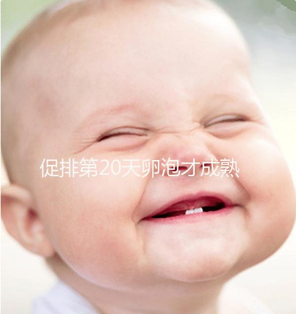 促排第20天卵泡才成熟真不會(huì)太晚，沒(méi)來(lái)月經(jīng)15X13都有希望