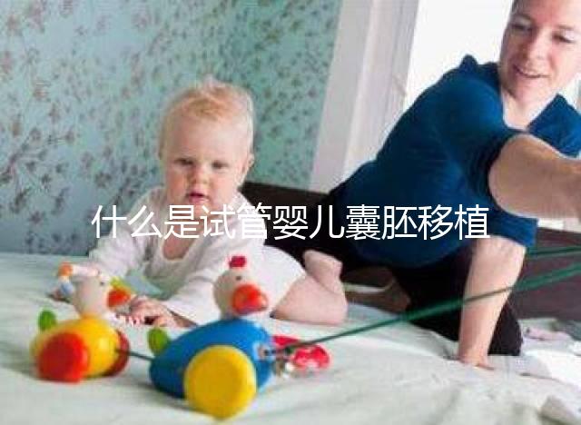 什么是試管嬰兒囊胚移植