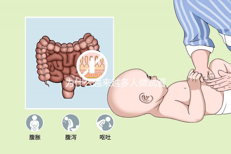 為什么越來越多人做試管嬰兒？