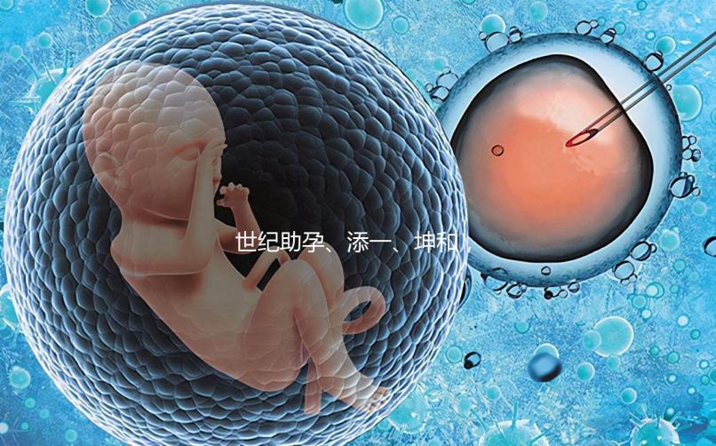 世紀(jì)助孕、添一、坤和,一起來(lái)看看上海助孕公司哪家好?