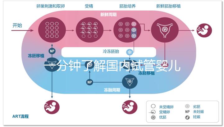 一分鐘了解國內(nèi)試管嬰兒相關(guān)規(guī)定與流程
