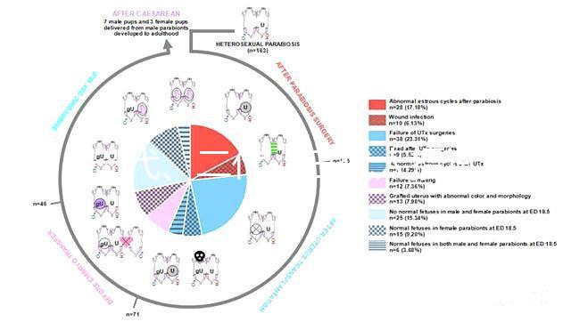 一代、二代、三代人授試管的區別全在這里！還有第四代試管技術！
