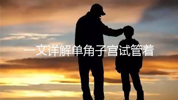 一文詳解單角子宮試管著床困不困難，失敗或和這幾點有關