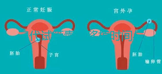 三代試管囊胚移植時(shí)間與成功率解析:移植周期與成功率一目了然