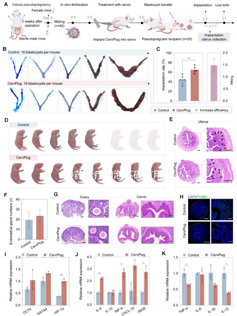 中藥治療卵泡不破有用嗎?卵泡不破中藥調(diào)理有效嗎?