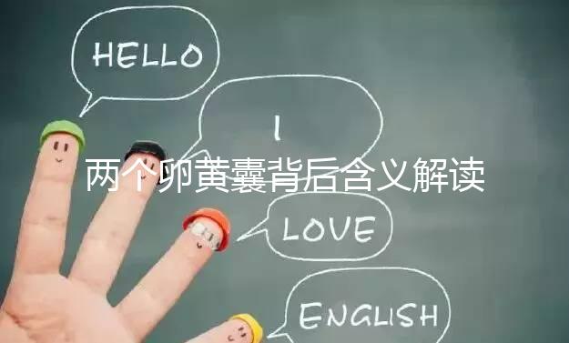 兩個(gè)卵黃囊背后含義解讀：雙胞胎、龍鳳胎都有可能！