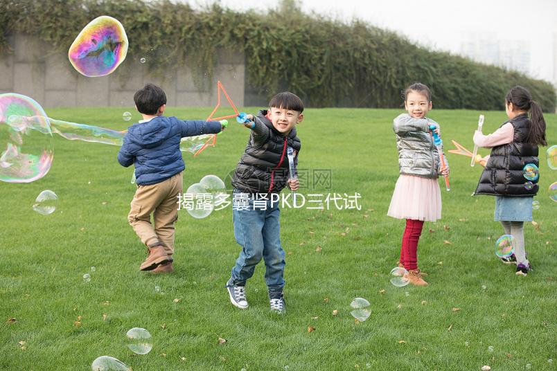 揭露多囊腎PKD三代試管取17個卵異常怎么辦？