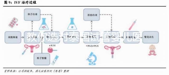 教你選對泰國試管嬰兒醫院，ALL IVF、杰特寧原來是這么回事