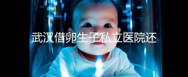 武漢借卵生子私立醫院還得看這幾家,協和、同濟醫院上榜