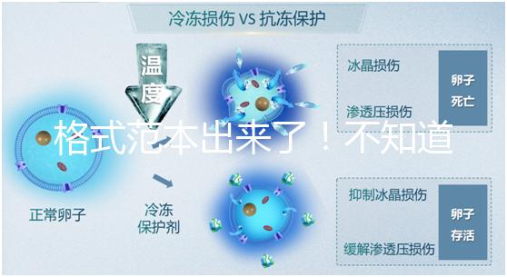 格式范本出來了！不知道出生證明遺失申請書怎么寫看這兒