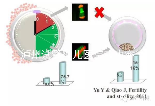 瀘州試管嬰兒醫院成功率排名，西南醫科大學附屬醫院上榜