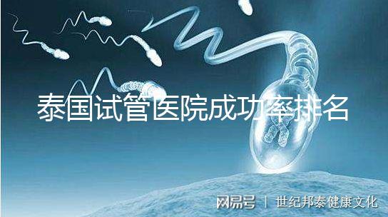 泰國(guó)試管醫(yī)院成功率排名公布,這些詳細(xì)介紹,為您提供選擇參考!
