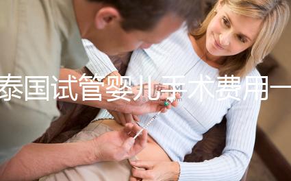 泰國試管嬰兒手術(shù)費用一覽,2025年價格行情