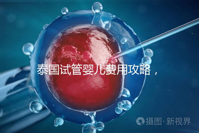 泰國試管嬰兒費用攻略,2025年詳細預算指南