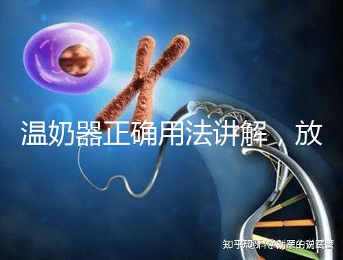 溫奶器正確用法講解,放的時間太久小心變成“毒奶”