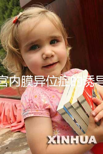 子宮內(nèi)膜異位癥的誘導(dǎo)排卵方案,其實(shí)沒(méi)有標(biāo)準(zhǔn)答案