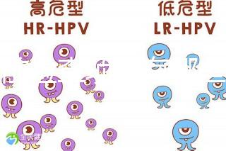 孕前檢查項目有哪些?