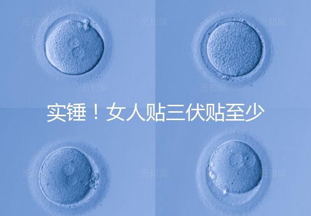 實錘！女人貼三伏貼至少有這6點好處，提高免疫力是其一