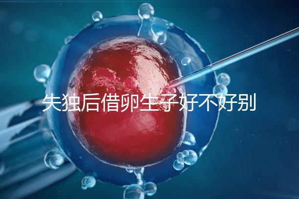 失獨后借卵生子好不好別還不造,供卵or領養過來人感受更深